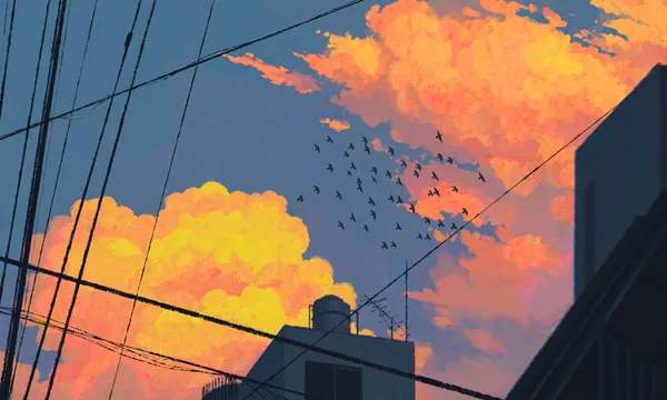 Birds Sunset