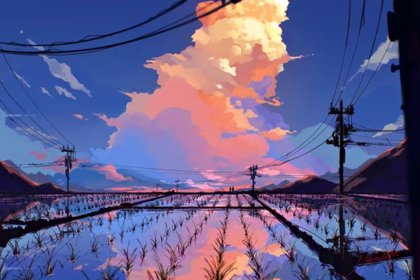 Cloud Field