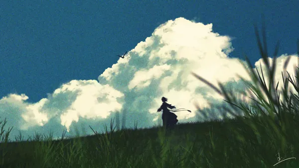 Freedom Sky