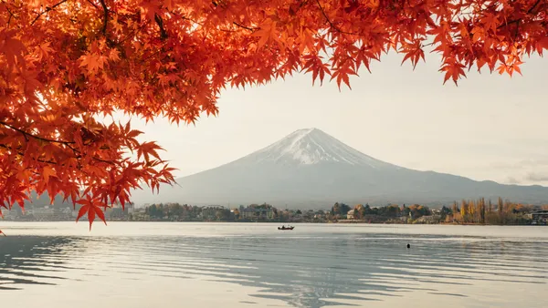 Fuji Autumn