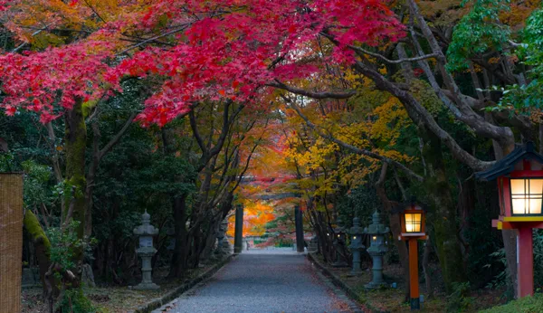 Temple Path